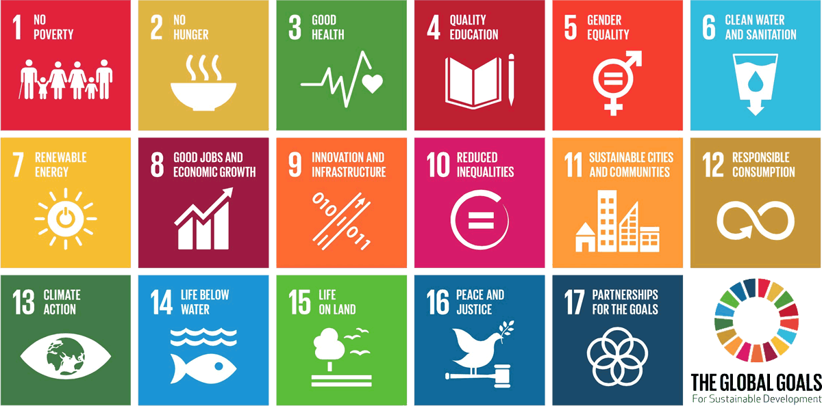 Sustainable Development Goals (SDGs) logo